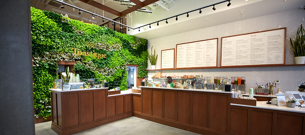 Toastique café counter with menu boards and a greenery wall, showing the streamlined setup behind owning a breakfast franchise with no experience.