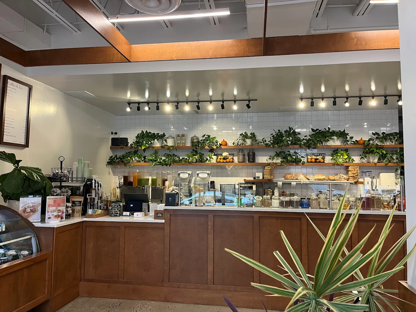 Bright and modern Toastique coffee shop interior in Alexandria, VA featuring white tables, wooden chairs, fresh ingredients on display, and warm wood accents.