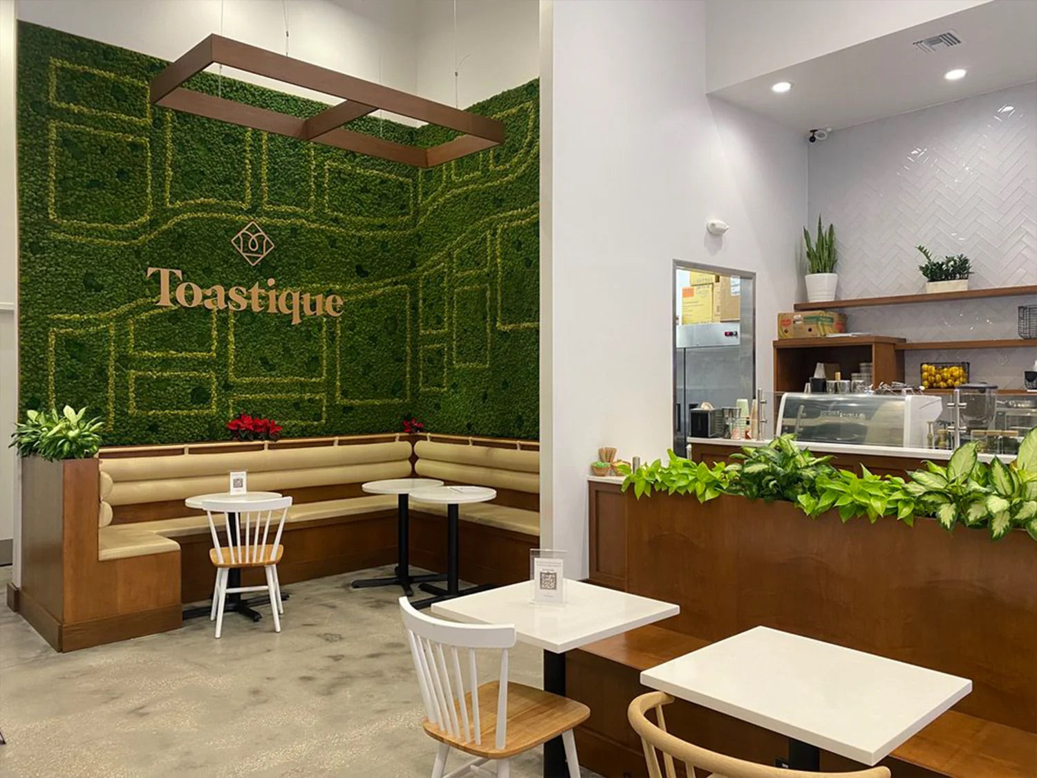 Inside a Toastique café franchise with modern design, greenery wall, and welcoming seating, showing why Toastique is one of the best café franchise opportunities.
