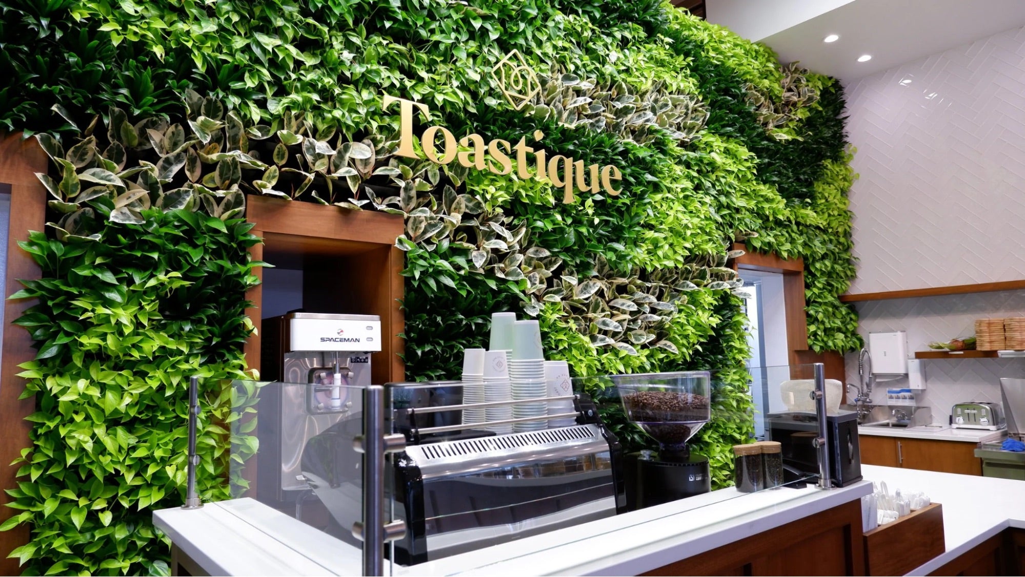 “Modern Toastique café interior with greenery wall, highlighting the fresh design behind a leading healthy food franchise.